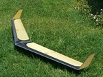 Z1 Fun Wing Disser