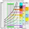 Bungeeset Scale plus